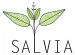 Salvia-500px1-300x221